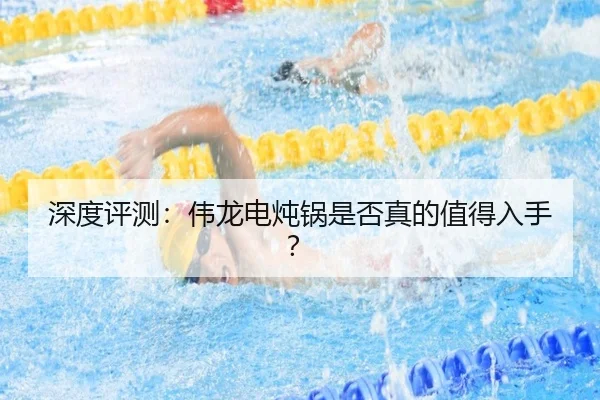 深度评测：伟龙电炖锅是否真的值得入手？